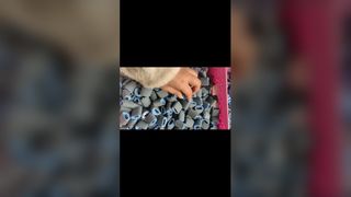 Con lăn bán tải HP 1010