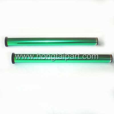 Trống OPC Xerox DC236 286 336 5500 XL 9500 LB316 2056 2058