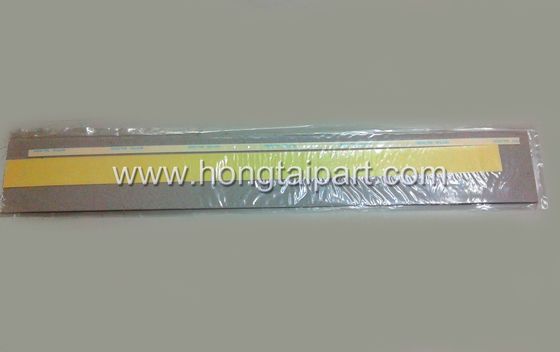 Con dấu Mylar