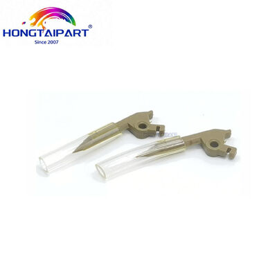 tên